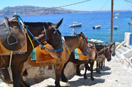 6 Günlük Yunan Adaları Tatil Paketi
